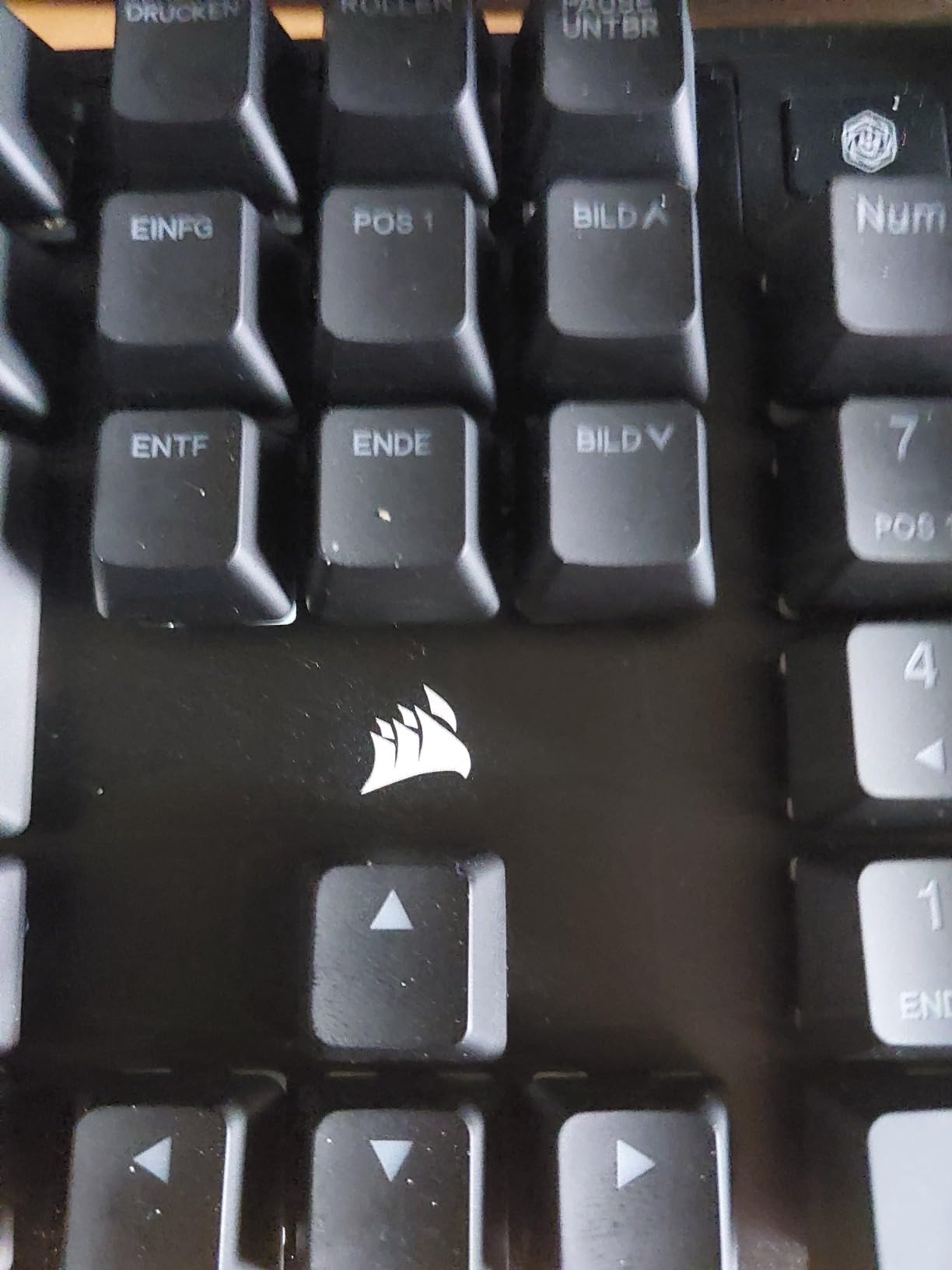 Erste mechanische Tastatur – begeistert