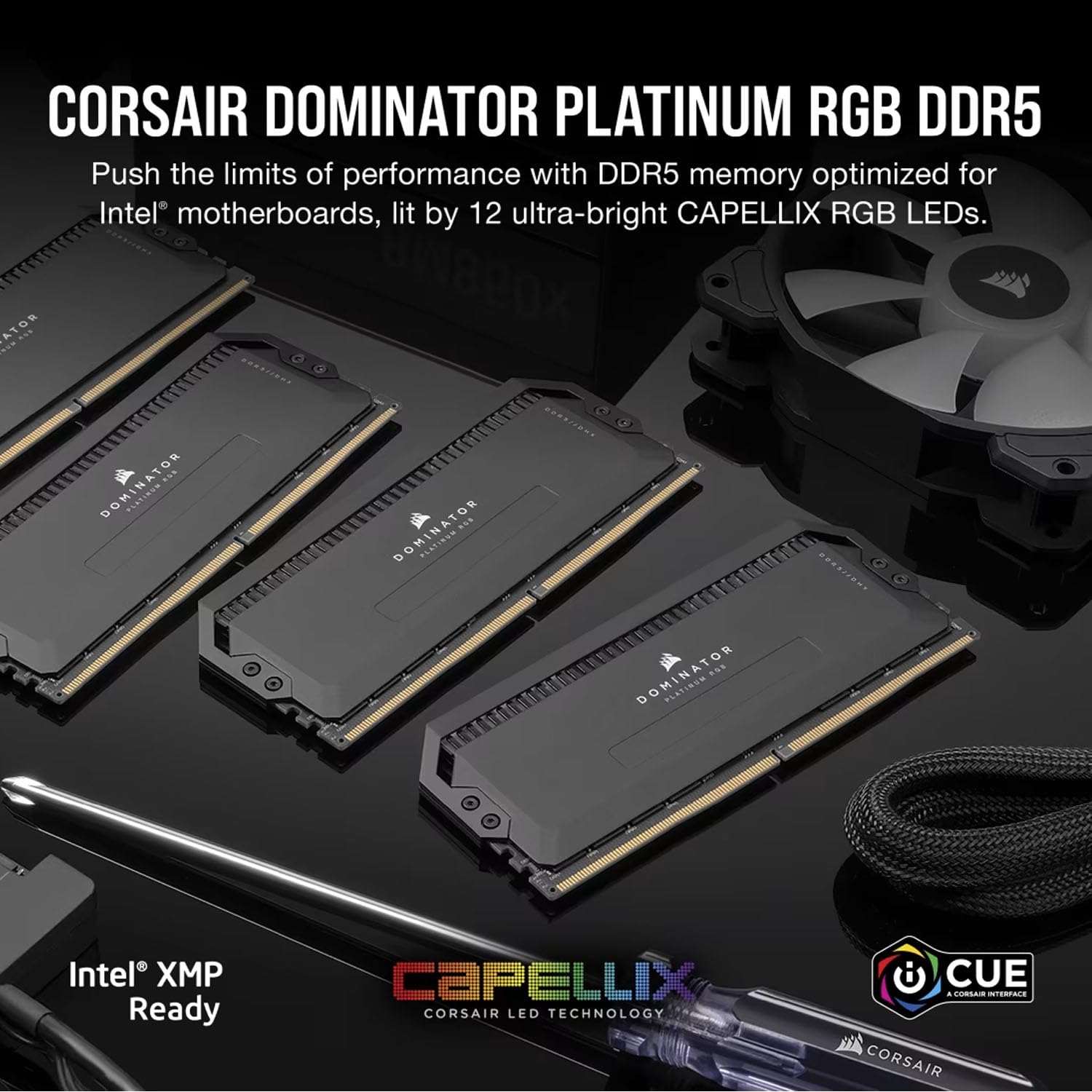 corsair-dominator-platinum-rgb-ddr5-32gb-2x16gb-6000mhz-cl36-44-44-96-1-35v-inte image 2